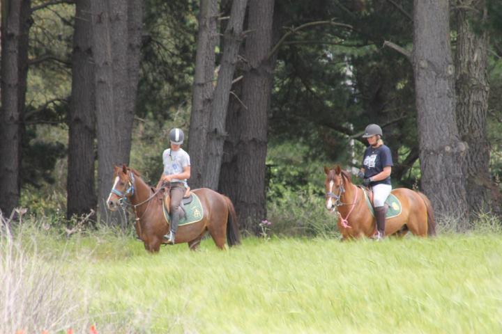 Residential Horse Club Costa Brava Hostel Santa Cristina d'Aro Kültér fotó
