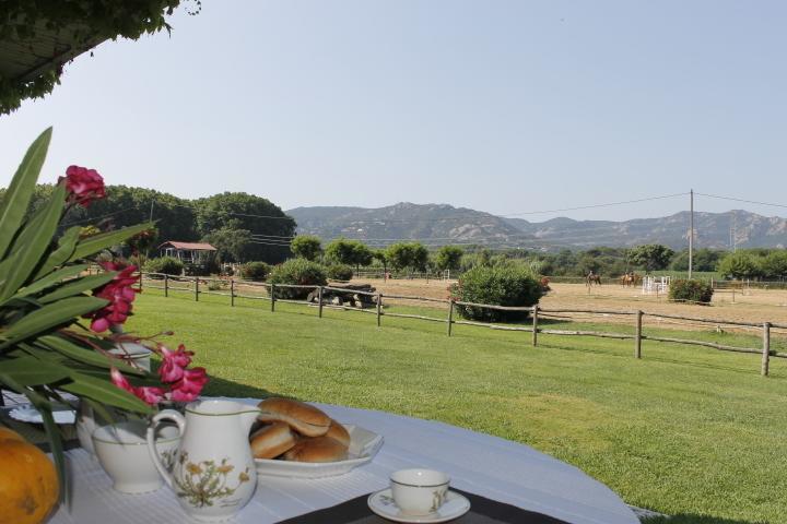 Residential Horse Club Costa Brava Hostel Santa Cristina d'Aro Szoba fotó